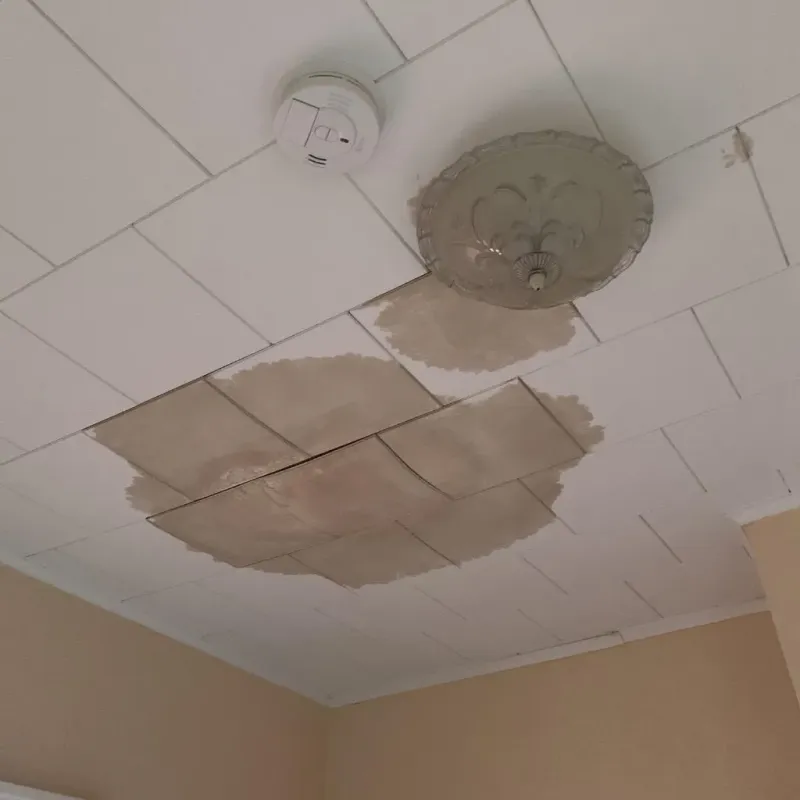 Ceiling Water Damage Repair in Pine Bluffs, WY