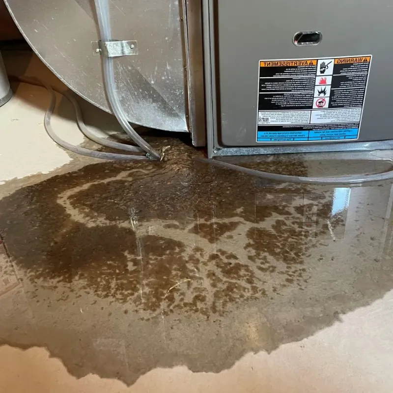 Pipe Burst and Leak Restoration in Pine Bluffs, WY