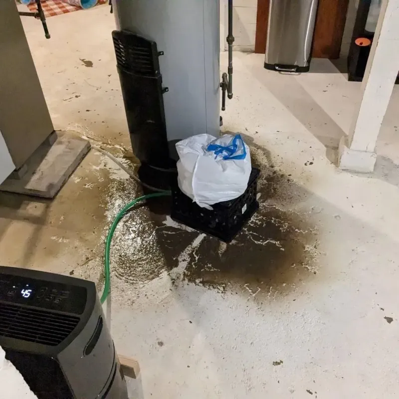 Sewage Backup Cleanup Service in Pine Bluffs, WY